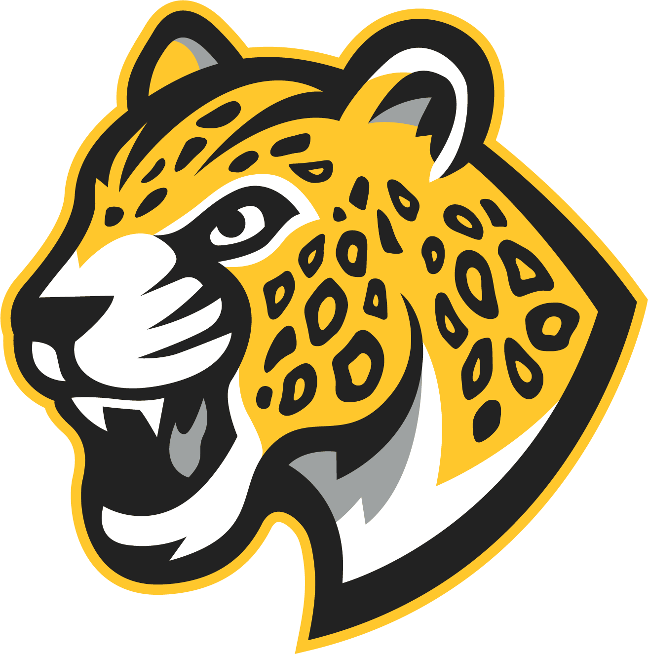 Mansueto High School