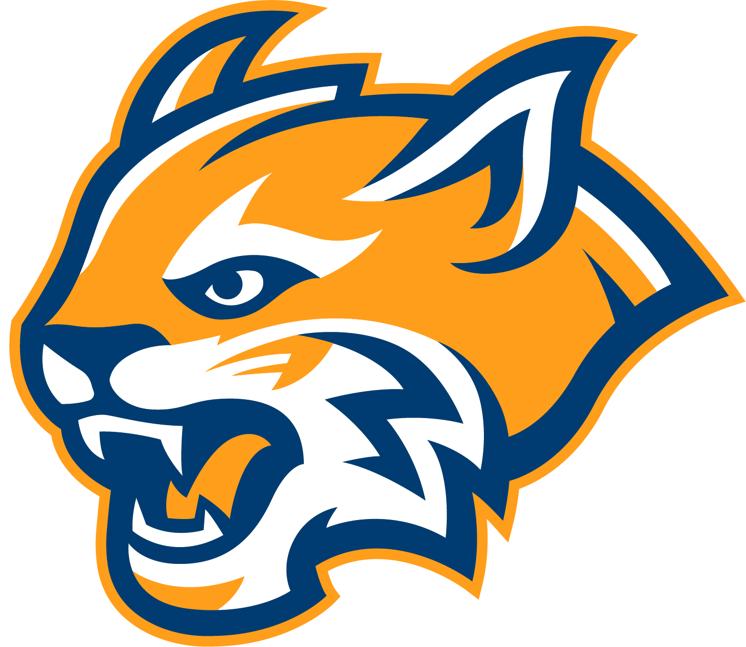 Rauner College Prep