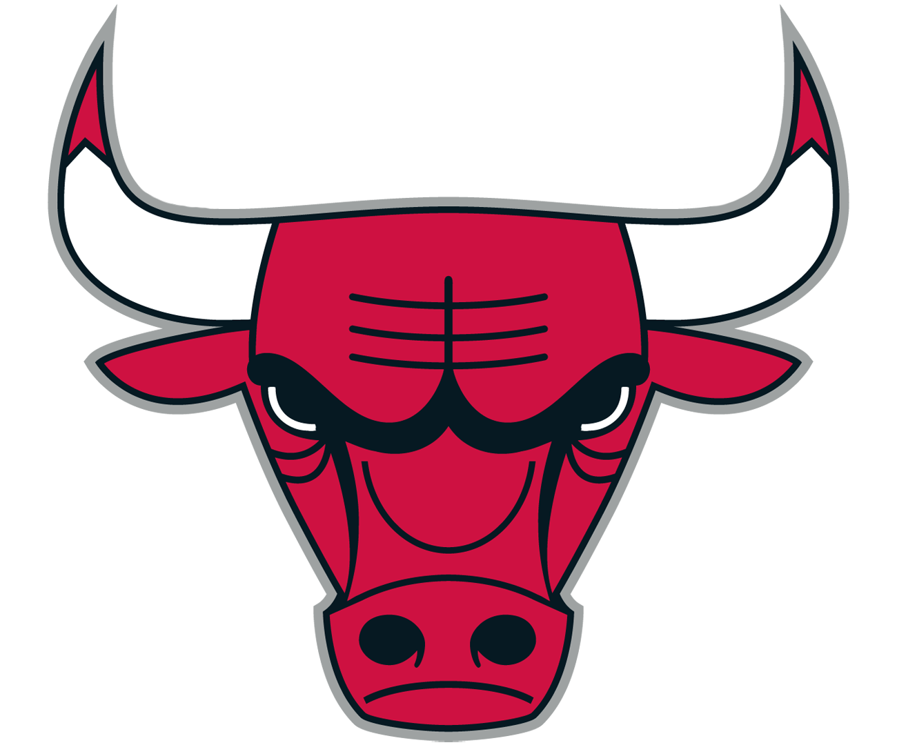Chicago Bulls College Prep
