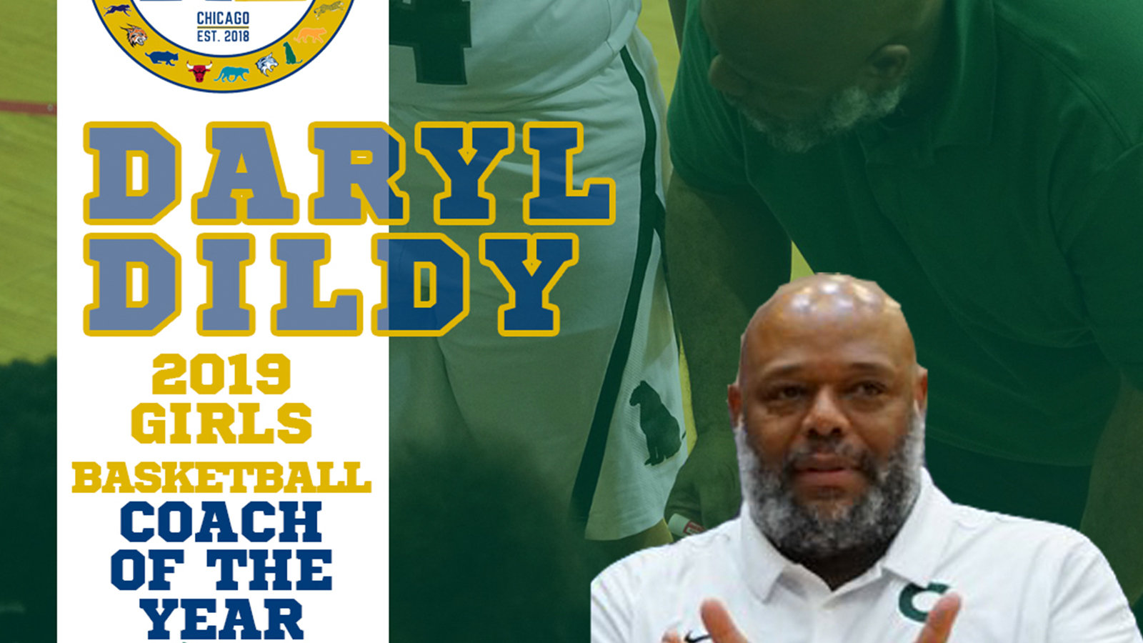 2019 Noble League Girls Basketball Awards & Accolades